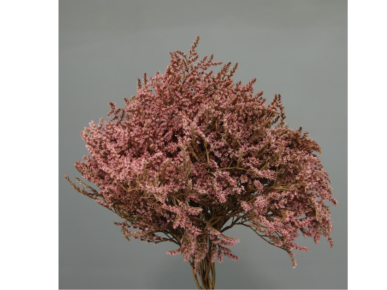 Preservado Restaurante Palmitos Alcudia